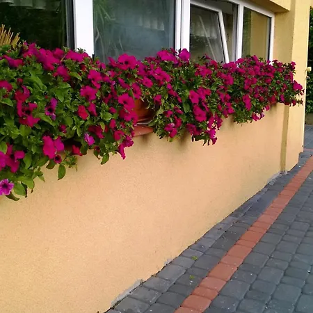 Villa Iris-2